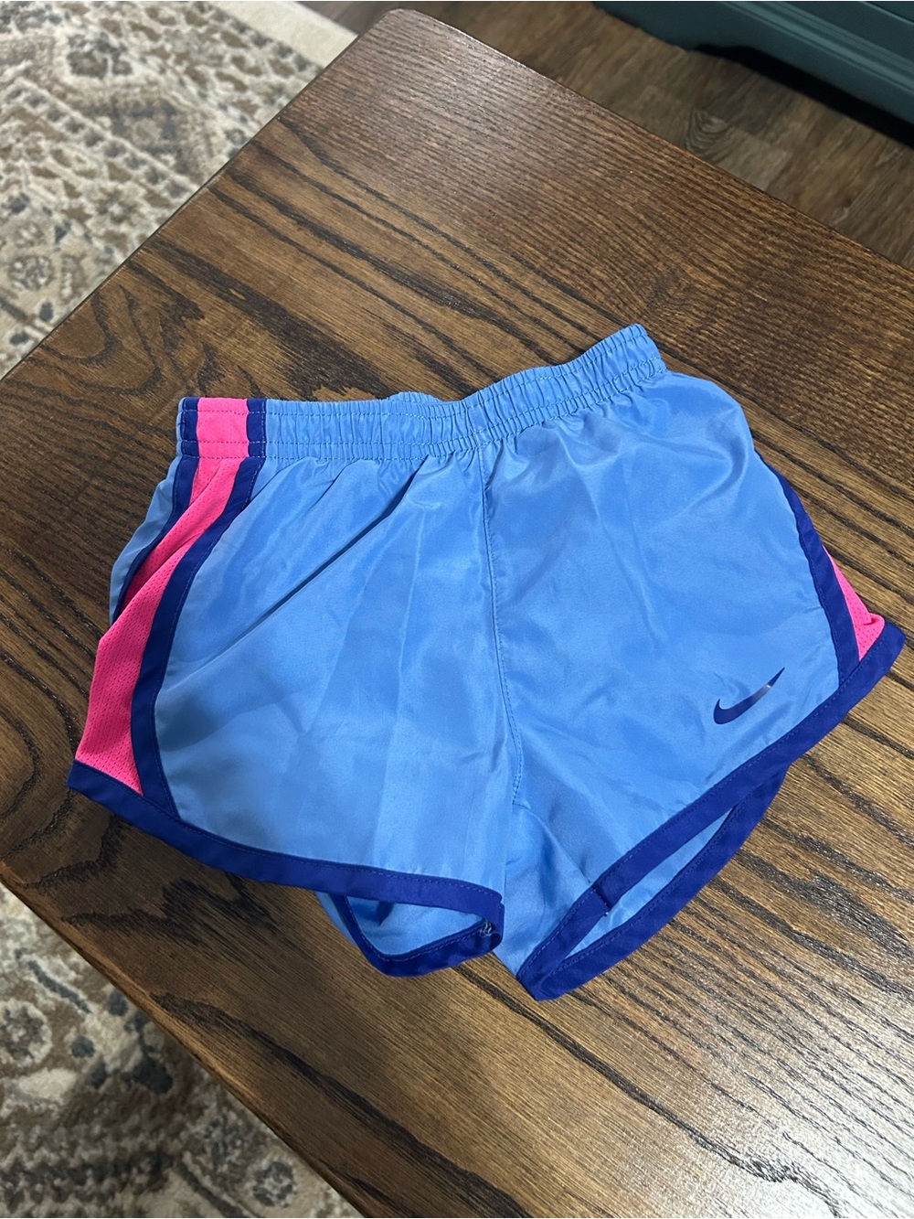 Nike Light Blue Shorts with Pink and Dark Blue Trim